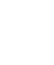BIT SHIELD WHITE LOGO copy